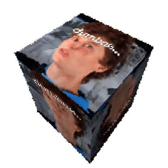 Kurz českého jazyka